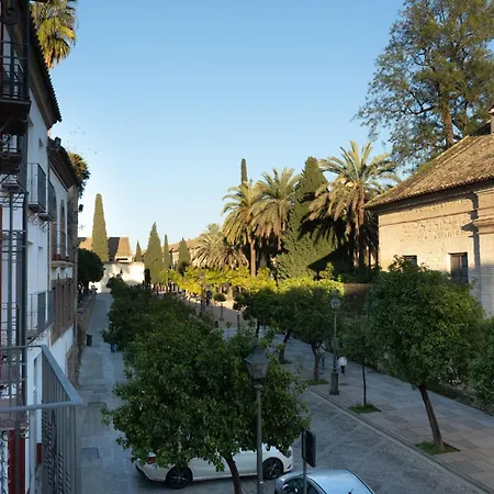 Διαμέρισμα Edificio Alcazar *